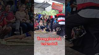 Trengginas gulung kuming