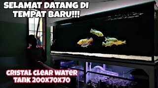 Update !!! Pemipaan 2 Sump filter Tank predator Tanpa Melubangi Kaca Tank || Pindah 2box Over flow !