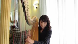 Harpist plays 'Kiss the Sky' by Jason Derulo.