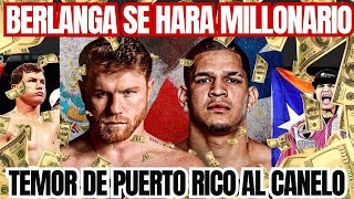 CANELO vs PUERTO RICO | BENAVIDEZ LLORA al no ser el ELEGIDO| BERLANGA cobrara tremenda MILLONADA 💰💰