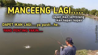 Gilaa... Ini Spot Mancing Gampang Banget Cari Ikan Disini || Kolam Ikan Liar||  Yang Penting Yakin