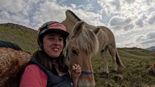 Live an Epic Equestrian Adventure with Lakeland Horse Trails!