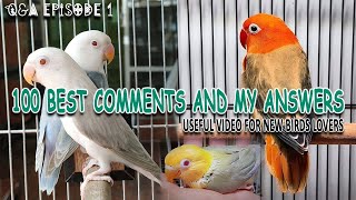 آپ کے سوال میرے جواب | YOUR INFORMATIVE COMMENTS AND MY ANSWER BEST VIDEO FOR NEW BIRDS LOVER | AABI