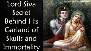 Lord Siva Secret Behind his Immortality & Skull Garland   Importance of Srimad Bhagavatam