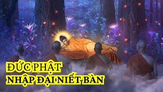 Đức Phật nhập Đại Niết bàn