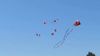 Kites 2