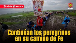 Continúan los peregrinos rumbo a la Basílica de Guadalupe