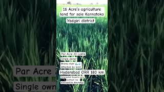 16 Acre’s agriculture land for sale Yadgiri district #karnataka #agriculturelandforsale #hyderabad