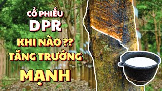 Cổ Phiếu DPR | Cao Su Đồng Phú - 3 Động Lực Tăng Trưởng Mạnh Mấu Chốt