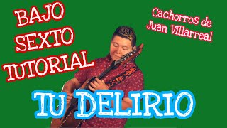 Tu Delirio - Los Cachorros de Juan Villarreal (TABS Bajo Quinto Tutorial)