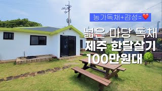 제주 감성독채 한달살기 100만원대🌴 제주 서쪽 한달살기 숙소 추천ㅣ리브애니웨어, 제주 한달살기 숙소 추천