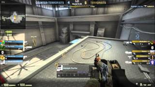 Counter Strike:Global Offensive UMP ACE