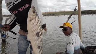 Olha que peixe fez infelizmente aconteceu faz parte na pescaria #pescador