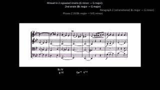 A Guided Tour of Joseph Haydn's G-minor String Quartet, Opus 20 No. 3 (1772)