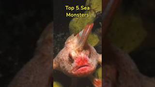 Top 5 Sea Monsters #shorts #seamonsters #seacreatures