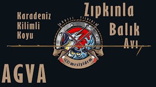 Ağva Zıpkınla Kefal Avları #Şile #Ağva #Zıpkın zıpkınla balık avı