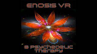 Episode 205: Enosis VR and Psychedelic Therapy