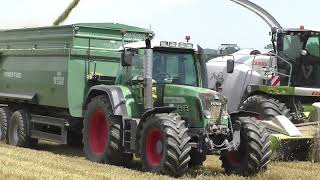 Die Raubkatze ist wieder unterwegs Claas Jaguar 970 beim Triticale Ernten  kommt IKT  Biogas Anlage