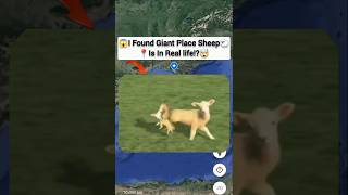 😱I Found Giant Place Is Sheep In Real life!?🤯On Google Earth Universal S2z🌎#maps #earth #viralshort