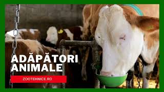 Adapatori pentru animalele din ferma ta - Mega Farm