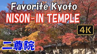 【Nison-in 二尊院】Favorite Kyoto.🍁See Nison-in Temple in beautiful autumn.