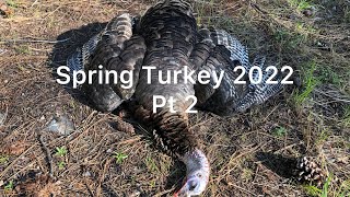 Spring Turkey 2022 Pt 2