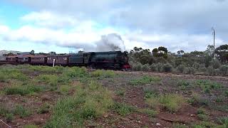 Pichi Richi Railway W22 from Workshops to Quorn Station