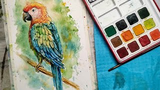 Watercolor painting of a Beautiful Parrot, Macaw bird painting in watercolour #watercolour #art