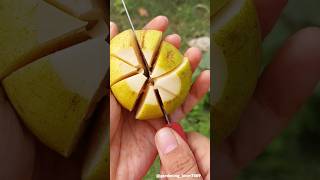 fruits harvesting 🍎🍈🍑🥑🍐 #seasonalfruit #fruitfarming #fruitharvesting #satisfy @gardening_lover7469