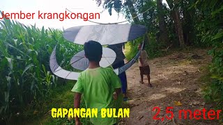 tes layangan gapangan 2,5 meter dan sendarenya