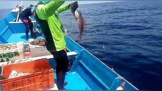 DEEP SEA HANDLINE FISHING