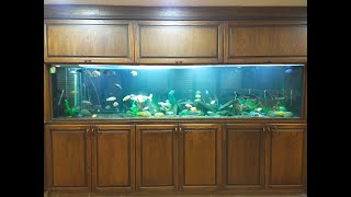 Changing the decor of a 3700 liter African fish tank