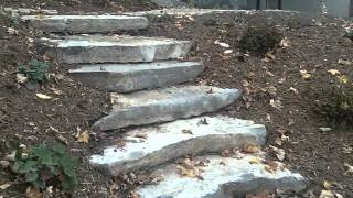 Frontenac Limestone Steps