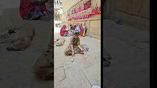 Amazing Street Magician - Jaisalmer - Rajasthan