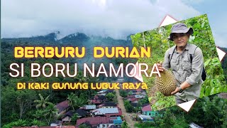 Berburu Durian Si Boru Namora di Kaki Gunung Lubuk Raya - RD Explorer