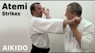 Aikido ATEMI - striking techniques, by Stefan Stenudd in 2008