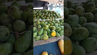 Mangga Harum Manis 15.000/Kg