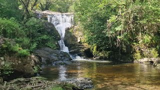 Aira Force Waterfall Trail - Lake District