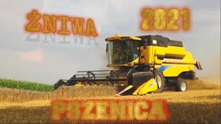 🌾 Pszenica pod kose🌾 | ŻNIWA 2021 | NEW HOLLAND CSX 7040