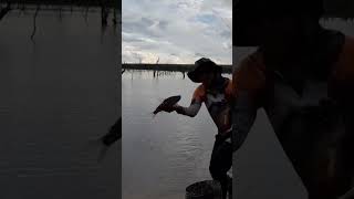 peixe no anzol pesca de barranco #pescaria