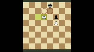 Fighting for the critical Squares at a distance #chess #kingsacrifice #shorts #chesstricks #endgame