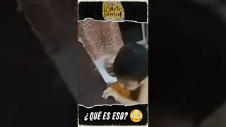 😨💀Caricias siniestras 😱 ¡¡¡¿QUÉ ES ESO?!!!😳