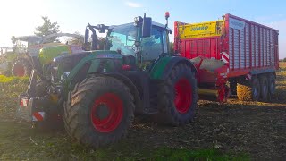 Maishäckseln 2k17 Claas Jaguar 960 4xVario's Gopro/Sony