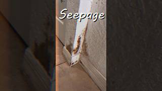 water proofing, bathroom tips, seepage solution #bathroomremodel  #shorts