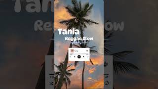 REGGAE SLOW 🌵|| TANIA ( VICKY SALAMOR ) MIX 2024 || IBEN BEAT