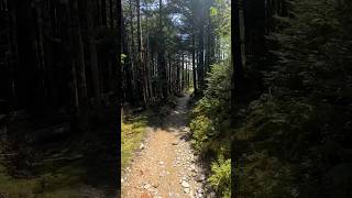 Beautiful hike in Gatlinburg, Tennessee #gatlinburgtn #tennessee #hiking #nature #beautiful #hike