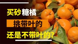 買糖橘時，選帶葉還是不帶葉的？老果農告訴你：這4種白送也不要