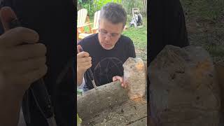 how to make mushroom growing logs at home #backyardgardening #shaddy #shitake #toronto #Canada