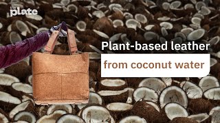 Plant-based leather from coconut water