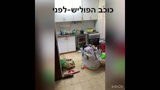 כוכב הפוליש-פינוי פסולת מדירה+ניקיון ופוליש התוצאות בסרטון!חברת כוכב הפוליש מתמחה בכל סוגי הניקיונות